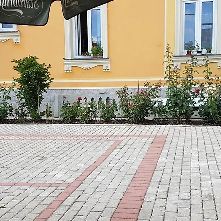 Penzion Duong Apartments Karlovy Vary Exterior photo